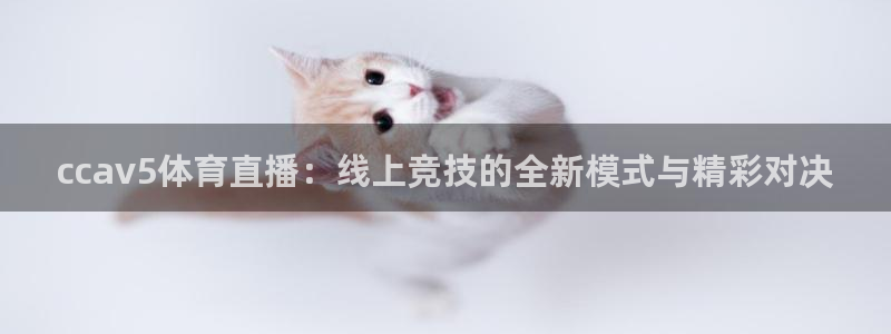 新闻图片