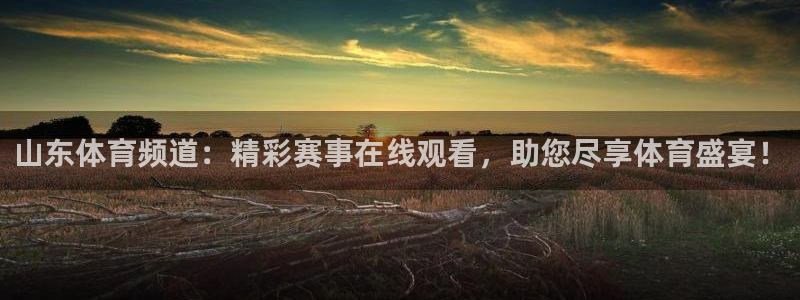 山东体育频道：精彩赛事在线观看，助您尽享体育盛宴！