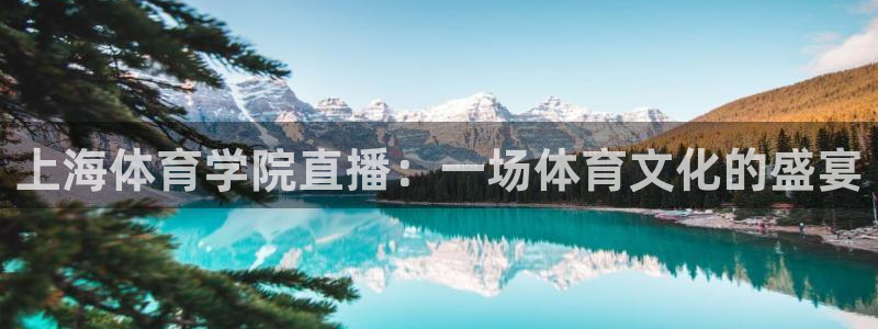 上海体育学院直播：一场体育文化的盛宴